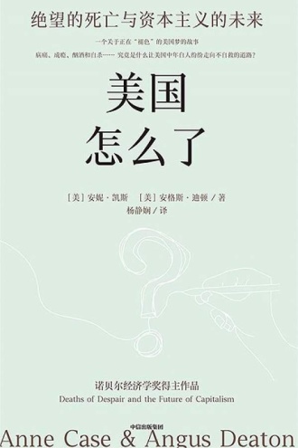 美国怎么了（第二版）